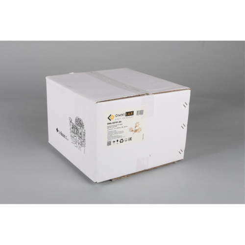 Светильник настенный (Бра) OML-52701-03 фото 10