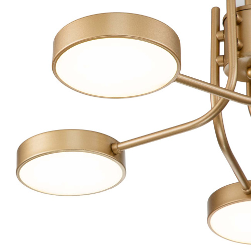 Светильник на штанге Escada 10258/5 LED*44W Champagne gold фото 3