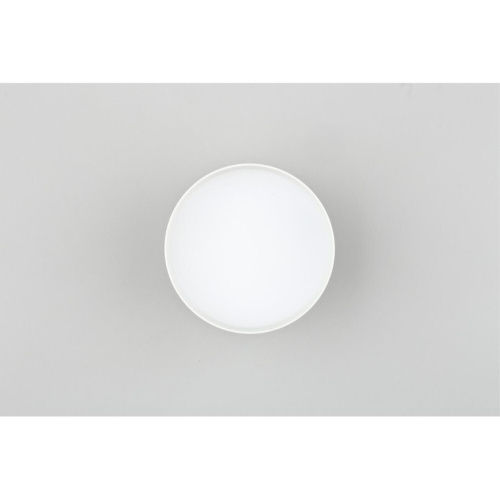 Светильник встраиваемый-накладной OML-103309-12 фото 2