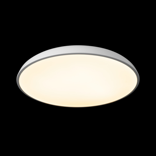 10371 White Потолочный светильник LOFT IT Dime фото 2 10371 White Потолочный светильник LOFT IT Dime фото 2