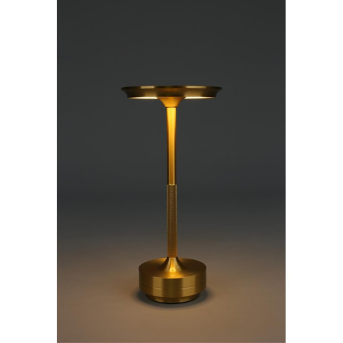 Настольная лампа OML-40414-01 фото 4