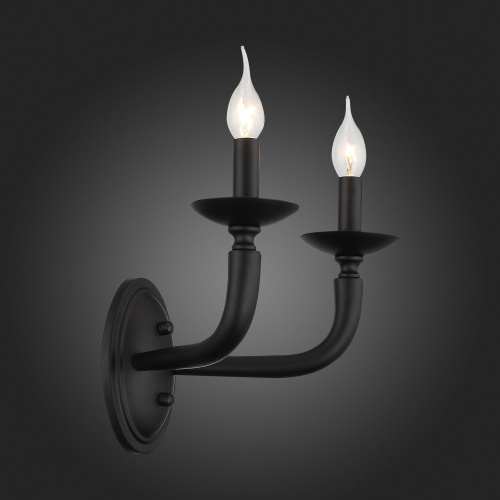 SL1114.401.02 Бра ST-Luce Черный E14 2*40W FORTEZA фото 2