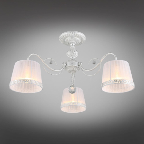 Люстра потолочная OML-54117-03 фото 3