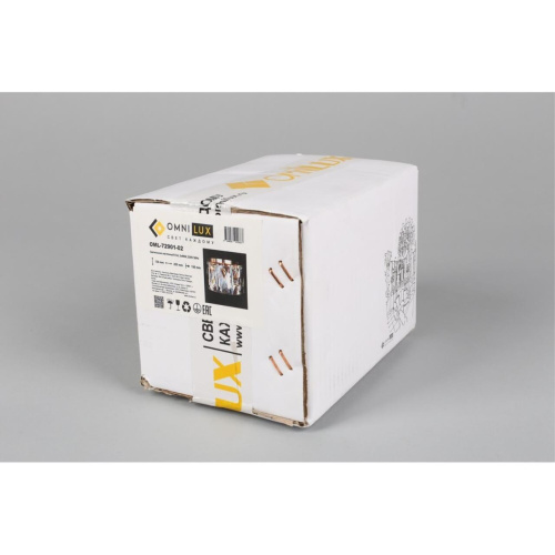 Светильник настенный (Бра) OML-72901-02 фото 5