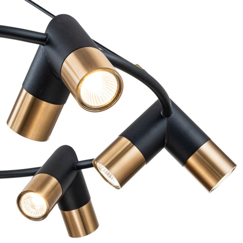 Подвесная люстра Indigo Doppio 11036/12P Black V000455 фото 3 Подвесная люстра Indigo Doppio 11036/12P Black V000455 фото 3