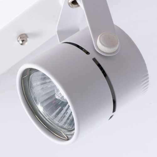 Потолочный светильник Arte Lamp A1311PL-2WH фото 2