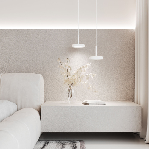 Подвесной светильник Plate 50260 LED фото 2