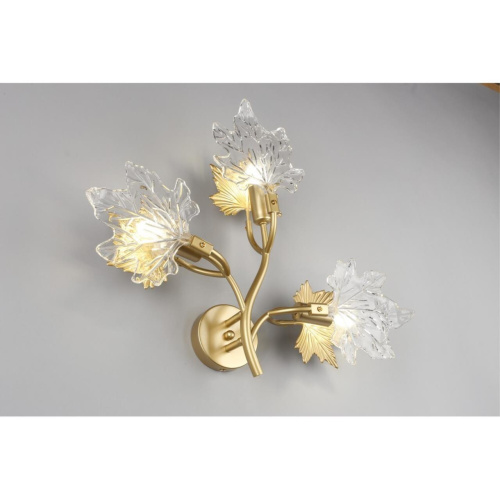 Светильник настенный (Бра) OML-52701-03 фото 3