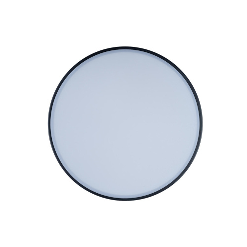 10002/12 Black Потолочный светильник LOFT IT Axel фото 3 10002/12 Black Потолочный светильник LOFT IT Axel фото 3