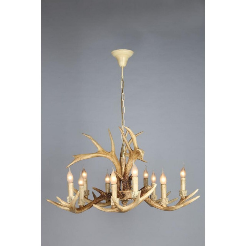 Люстра подвесная OML-52003-10 фото 5