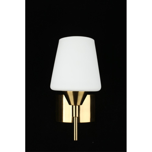 Светильник настенный (Бра) APL.840.01.01 фото 8