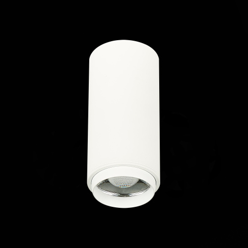 ST600.532.10 Светильник потолочный Zoom Белый LED 1*10W 3000K 1 000Lm Ra>80 15-60° IP20 D59xH130 170 Накладные светильники фото 4