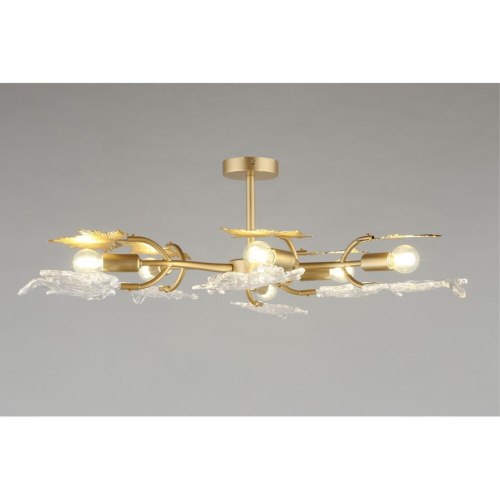 Люстра потолочная OML-52707-06 фото 7