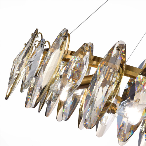 SL1227.303.12 Люстра подвесная ST-Luce Латунь/Прозрачный E14 12*40W ANCONA фото 2