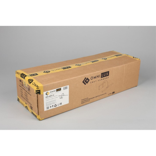 Светильник настенный (Бра) OML-24001-12 фото 5