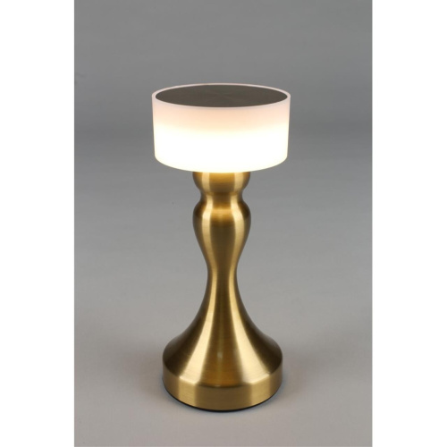 Настольная лампа OML-40304-01 фото 12 Настольная лампа OML-40304-01 фото 12