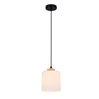 Подвесной светильник 160002/A/1P E27*60W Black