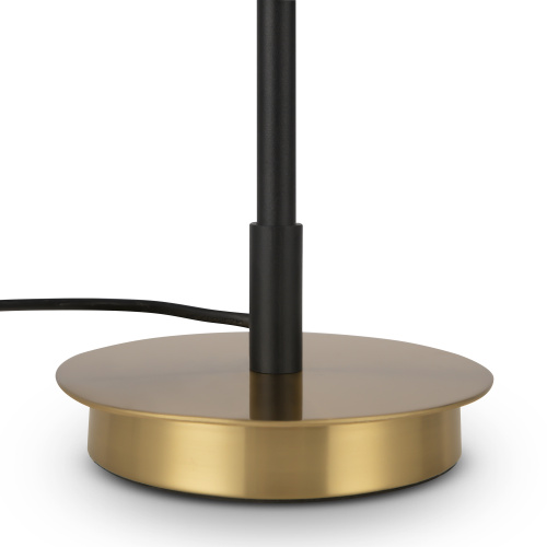 Настольный светильник Freya FR5201TL-01B фото 12