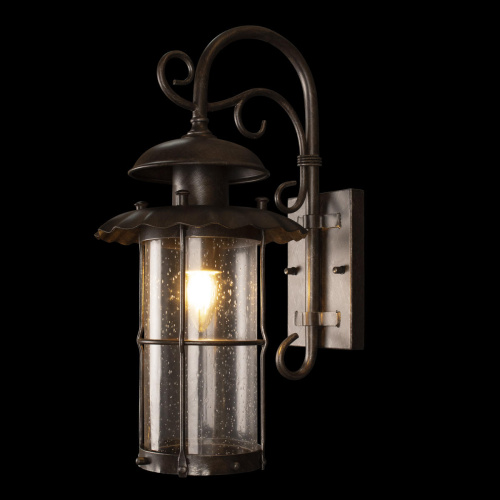 100015W Уличный настенный светильник LOFT IT Palermo фото 2