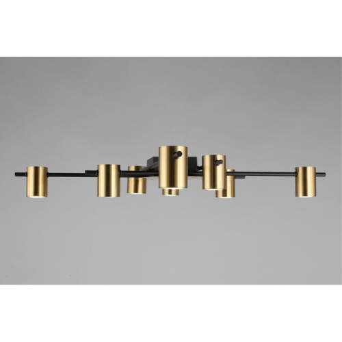 Люстра потолочная APL.633.07.08 фото 5