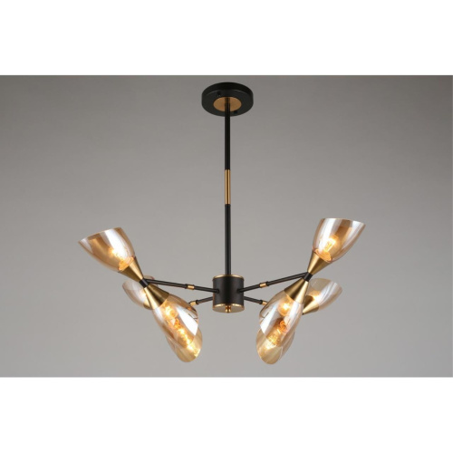 Люстра потолочная OML-66807-08 фото 4