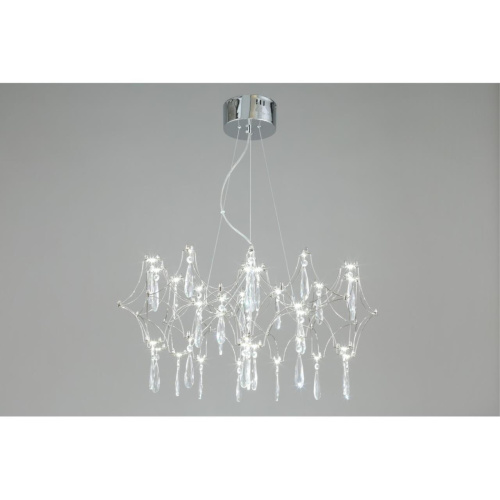 Люстра подвесная OML-95403-25 фото 5 Люстра подвесная OML-95403-25 фото 5