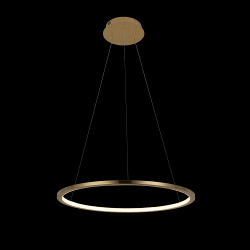 10014M Подвесной светильник LOFT IT Ring фото 4 10014M Подвесной светильник LOFT IT Ring фото 4