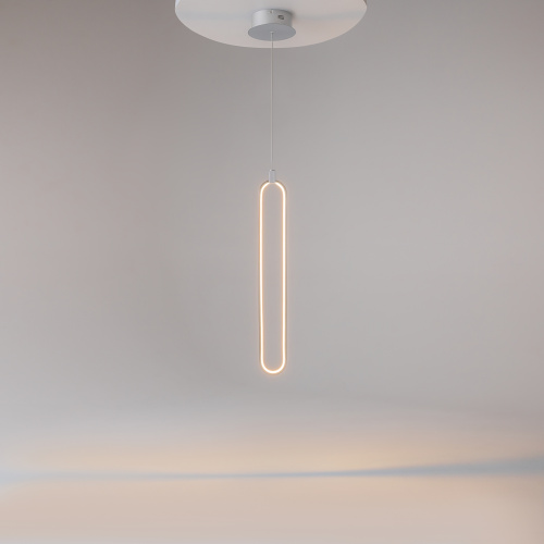 Подвесной светильник Maytoni MOD017PL-L13N фото 11