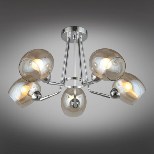 Люстра потолочная OML-27307-05 фото 3