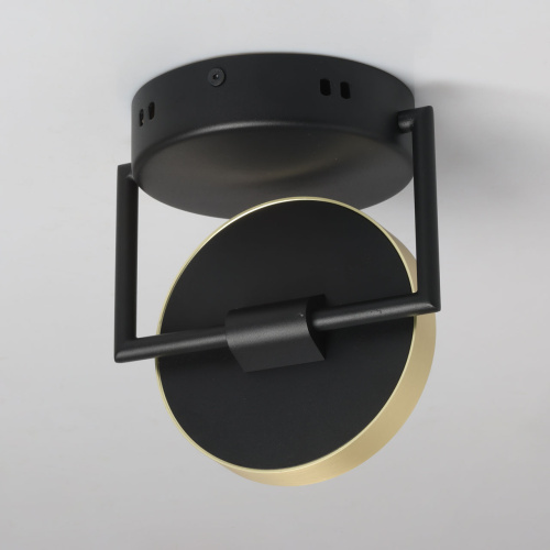 Потолочный светильник DeMarkt Гэлэкси 632017601 фото 6