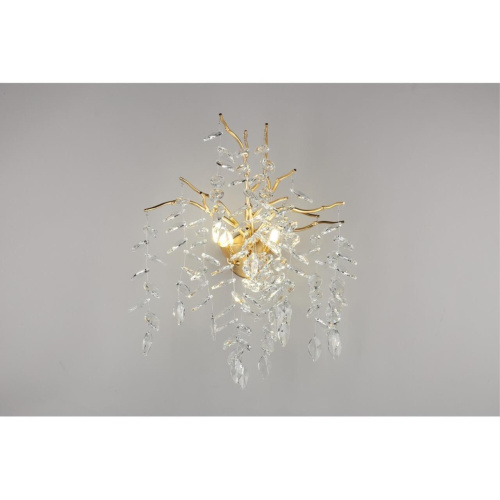 Светильник настенный (Бра) APL.847.01.03 фото 2