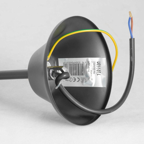 Подвесная люстра Lussole Lgo Lattice GRLSP-8216 фото 3 Подвесная люстра Lussole Lgo Lattice GRLSP-8216 фото 3