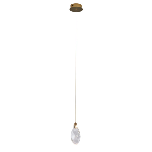 Подвесной светильник OD2439-1 gold/clear фото 2