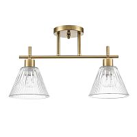 Потолочная люстра Lumion Comfi Vivian 8188/2C