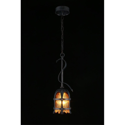 Светильник подвесной APL.500.06.01 фото 8