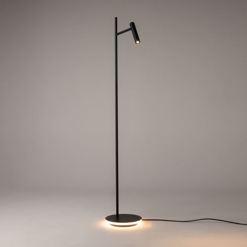 Напольный светильник (торшер) Maytoni Z010FL-L8B3K фото 11