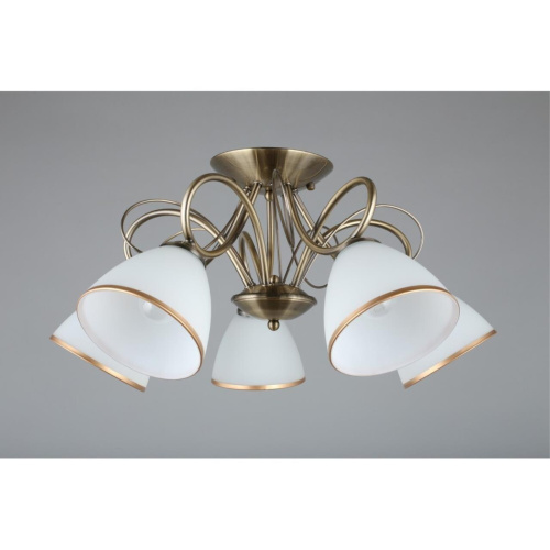 Люстра потолочная OML-25307-05 фото 5