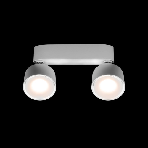 10323/2A White Накладной светильник LOFT IT Focus фото 4