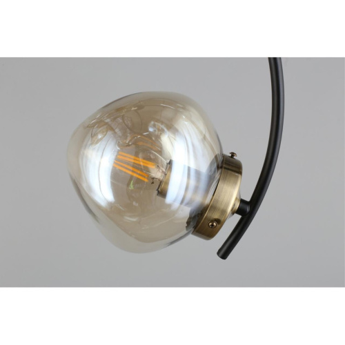 Люстра потолочная OML-95307-06 фото 11