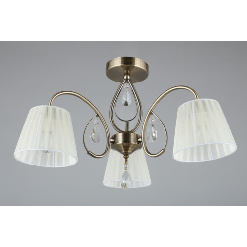 Люстра потолочная OML-56617-03 фото 4