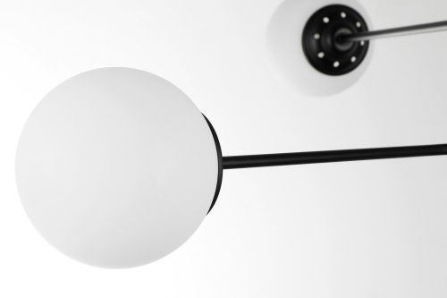 Подвесной светильник Lampit TP 2007-6 BK фото 3 Подвесной светильник Lampit TP 2007-6 BK фото 3