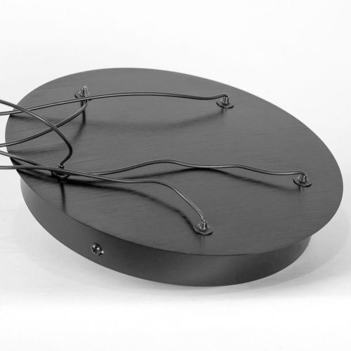 Люстра подвесная Lussole HOPKINS LSP-7399 фото 4