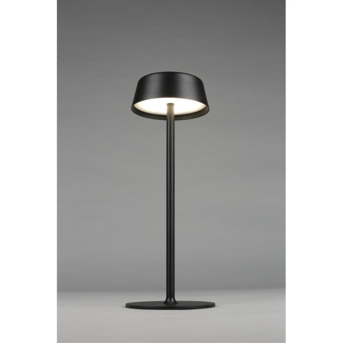 Настольная лампа OML-40504-01 фото 6 Настольная лампа OML-40504-01 фото 6