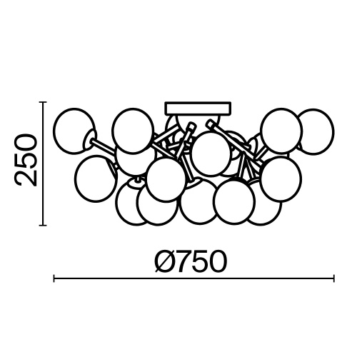 Потолочный светильник Maytoni MOD545PL-20CH фото 4