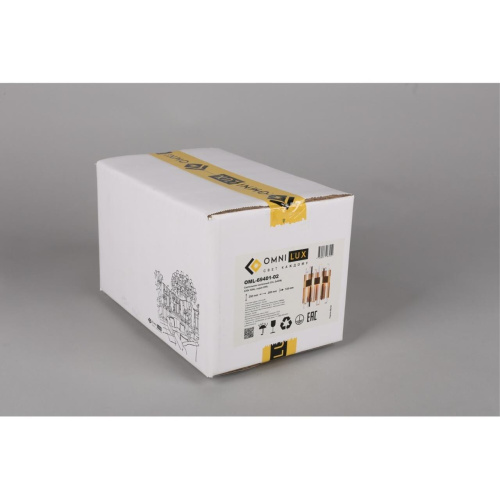 Светильник настенный (Бра) OML-69401-02 фото 2