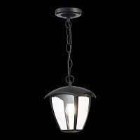 SL081.403.01 Светильник уличный подвесной ST-Luce Черный/Черный, Прозрачный E27 1*40W SIVINO