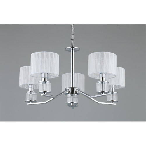 Люстра подвесная OML-66403-05 фото 6