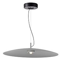 Подвесной светодиодный светильник Favourite Lars 4412-2P