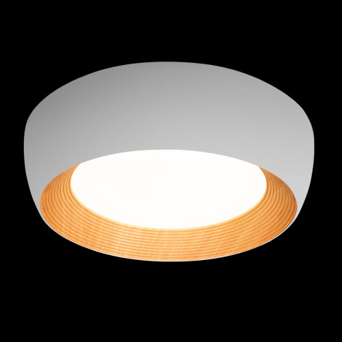 10255/500 White Потолочный светильник LOFT IT Folk фото 3 10255/500 White Потолочный светильник LOFT IT Folk фото 3