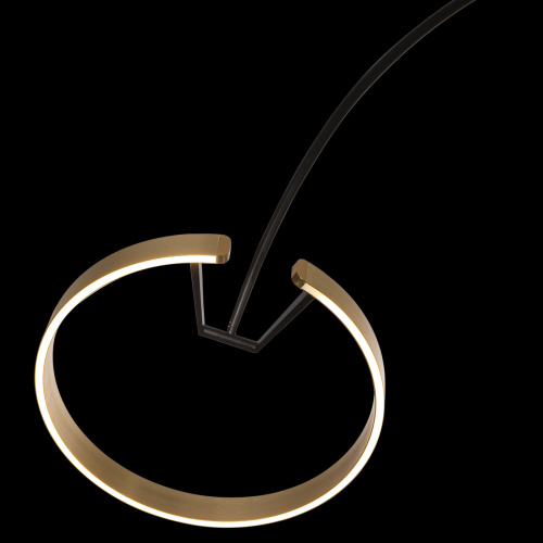 10027 Торшер LOFT IT Ring фото 2